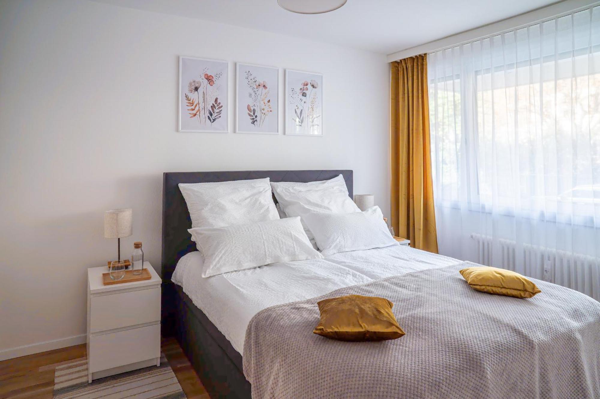 Expo-Basel-Ch Apt, Amazon Prime Video, Wifi, Coffee & Tee, Popcorn, Kitchen Exterior foto